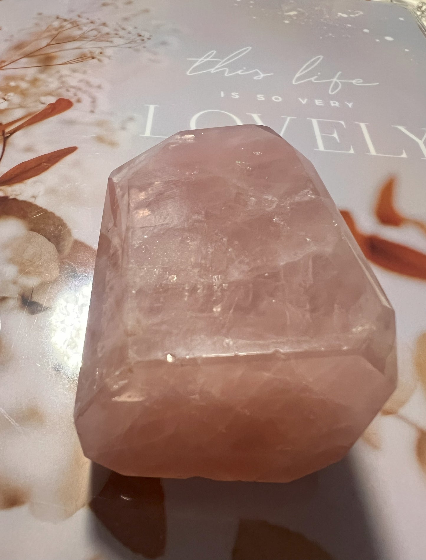 Faceted Free-Form Rose Quartz Carving