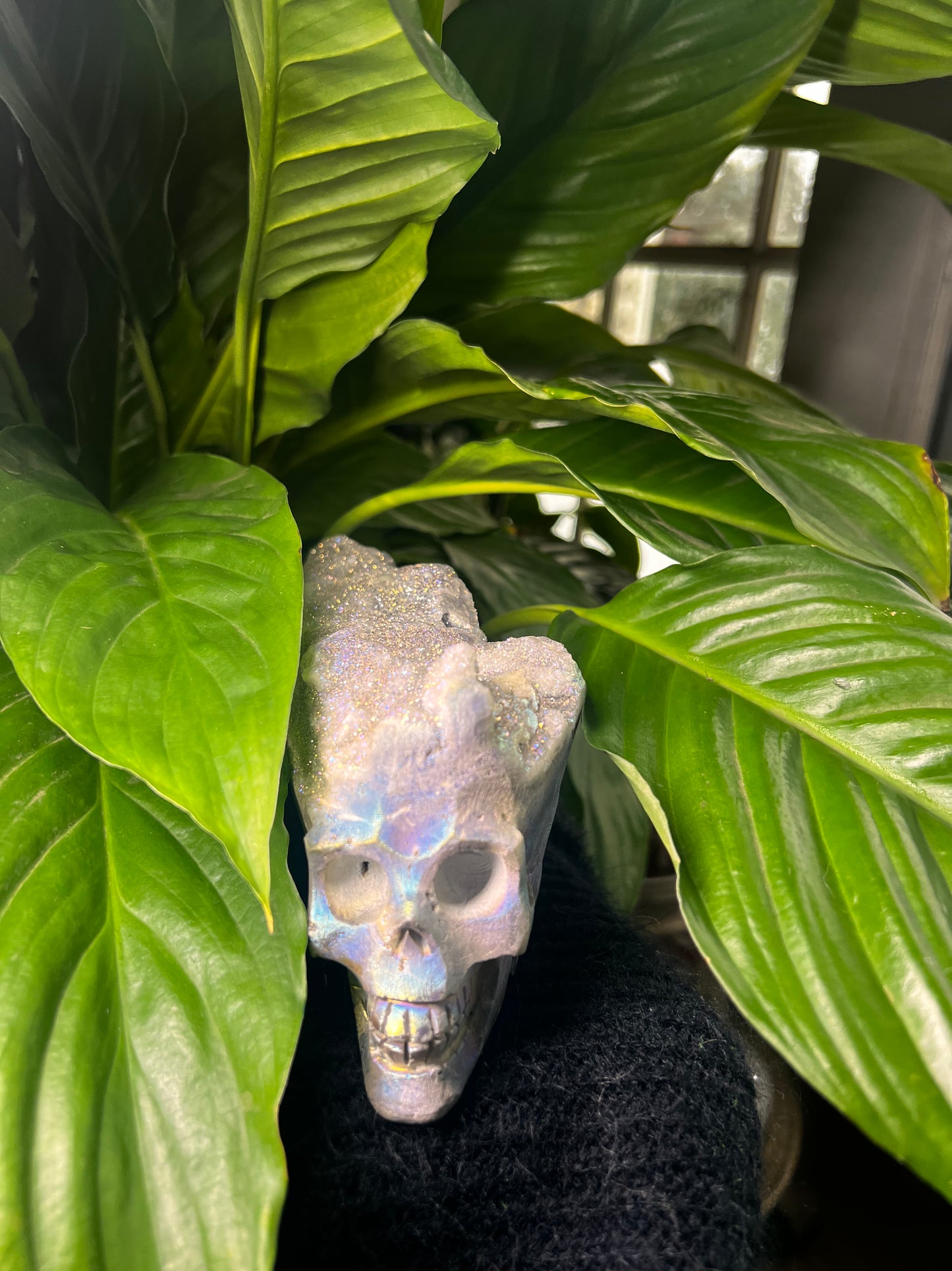 Druzy Aura Quartz Skull