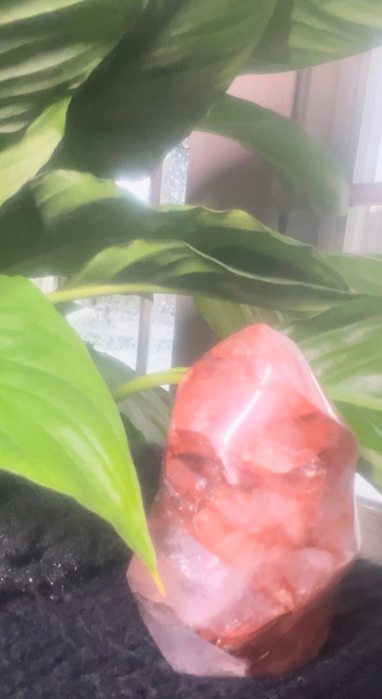 Carnelian Flame