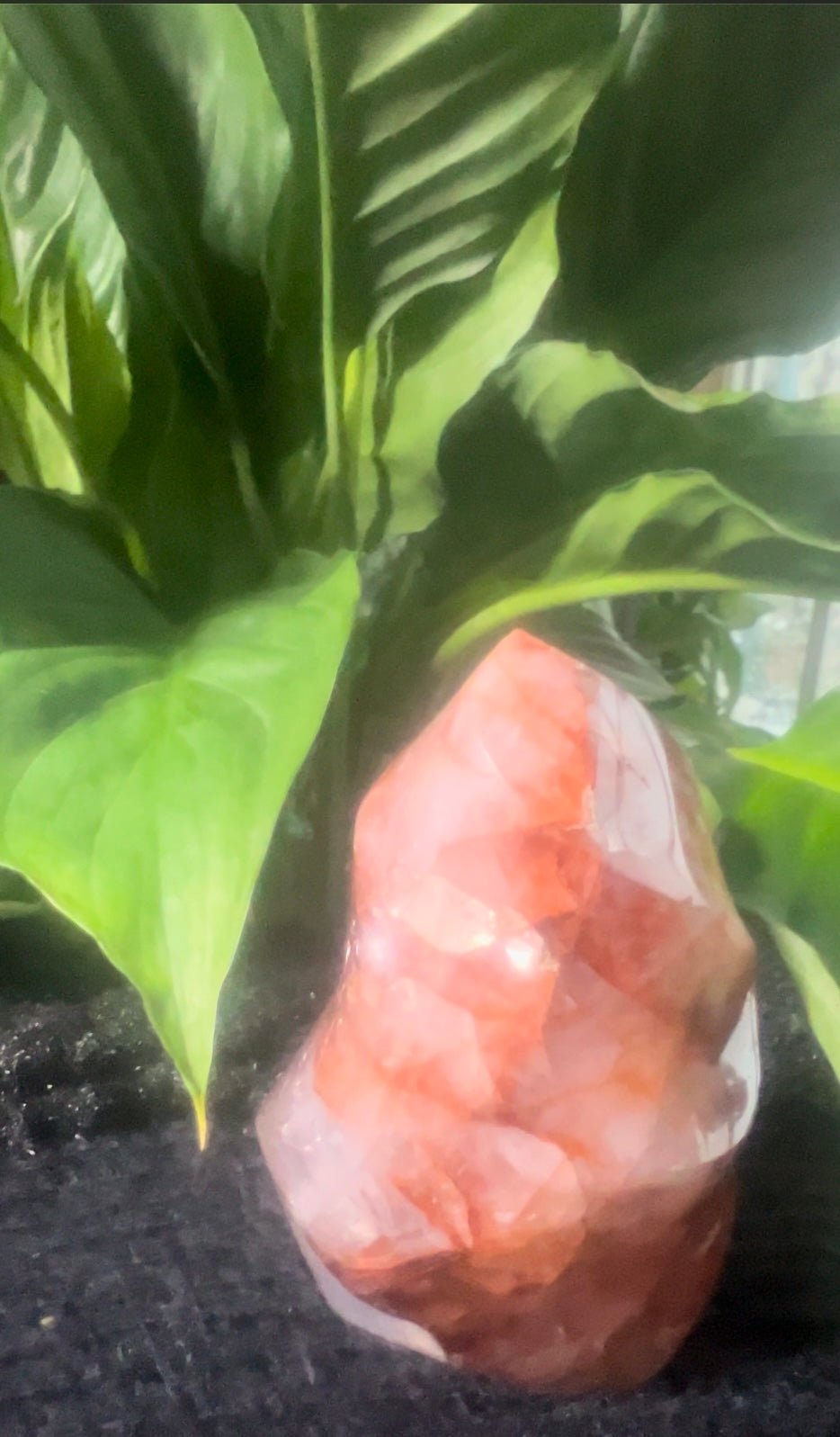 Carnelian Flame