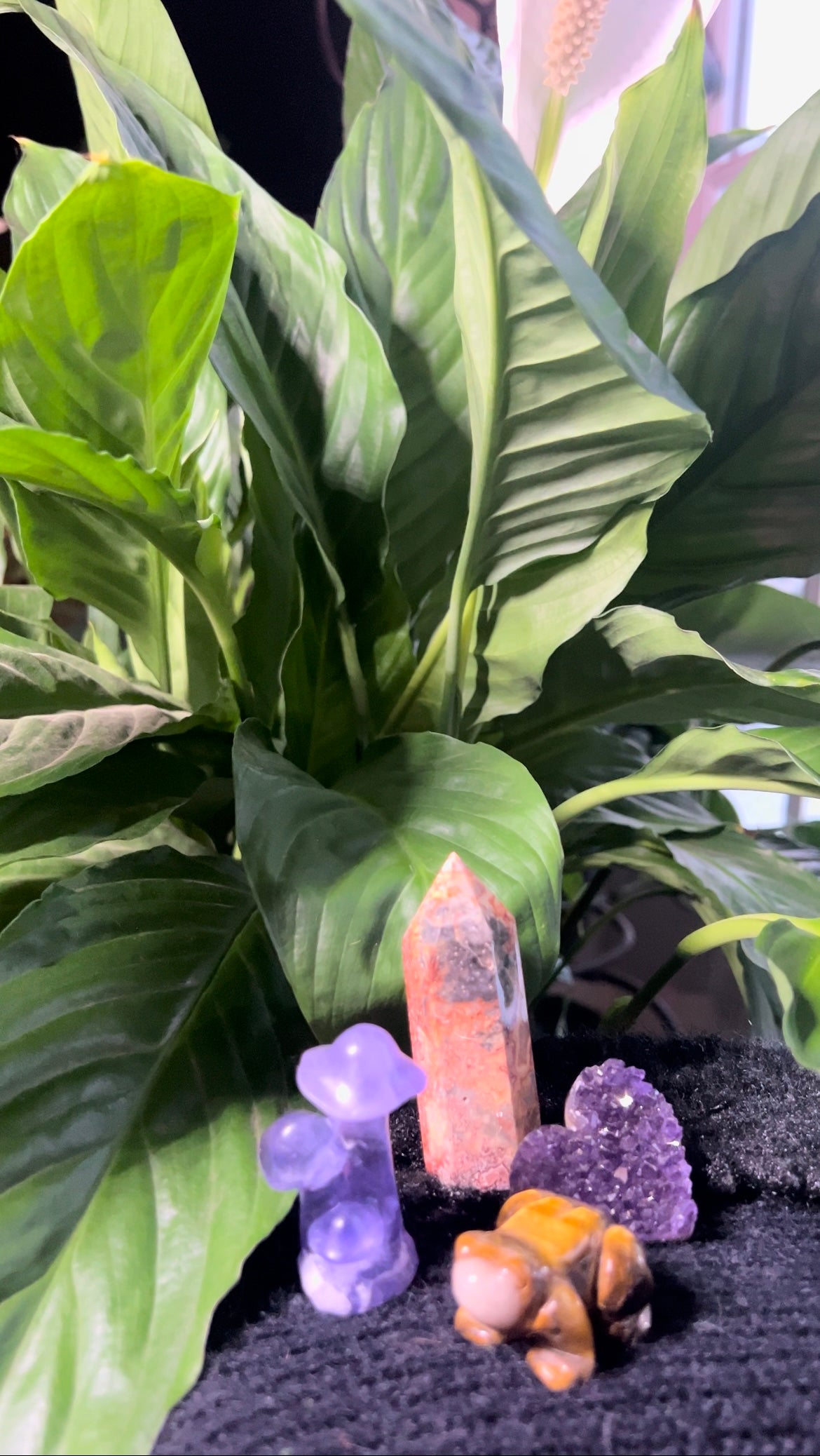 Emotional Support Crystal Set: Tools for Balance, Strength, and Inner Peace