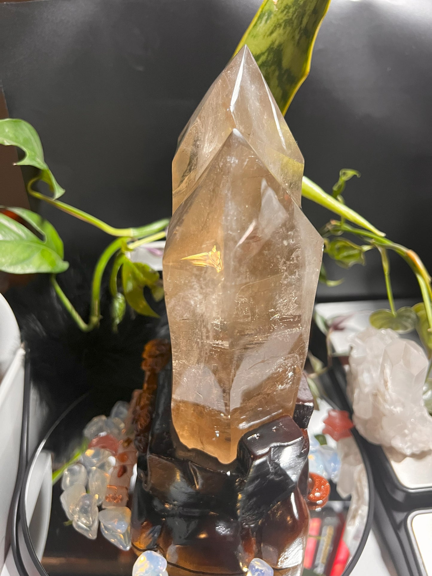 Golden Twin Flame