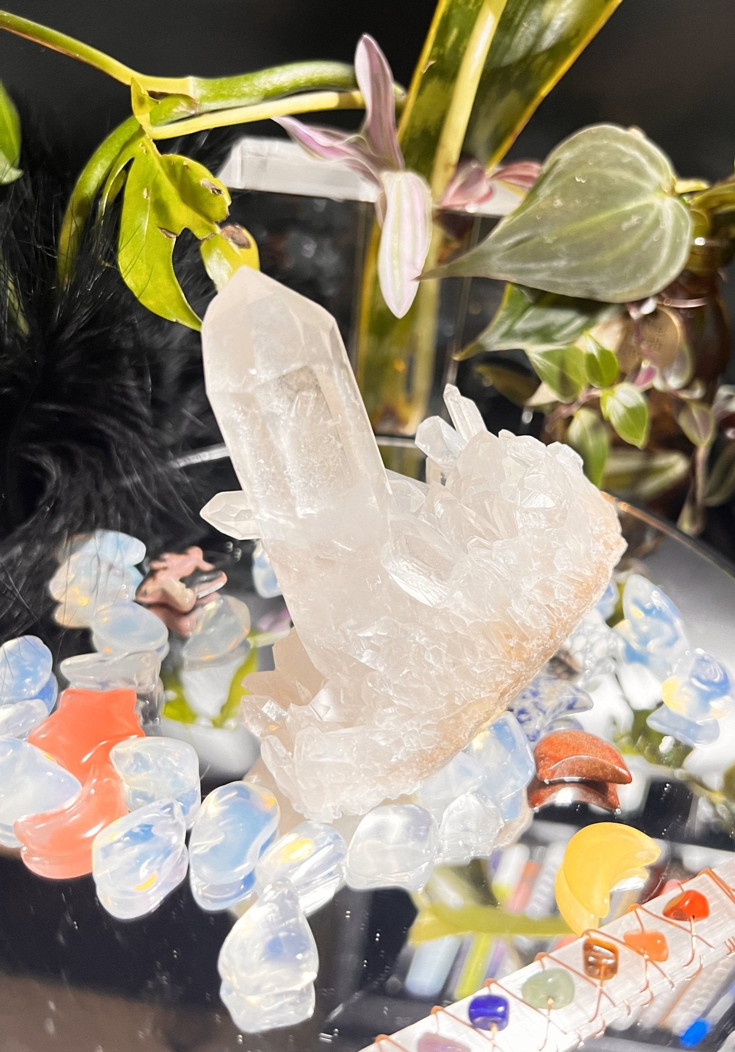Clear Quartz Cluster