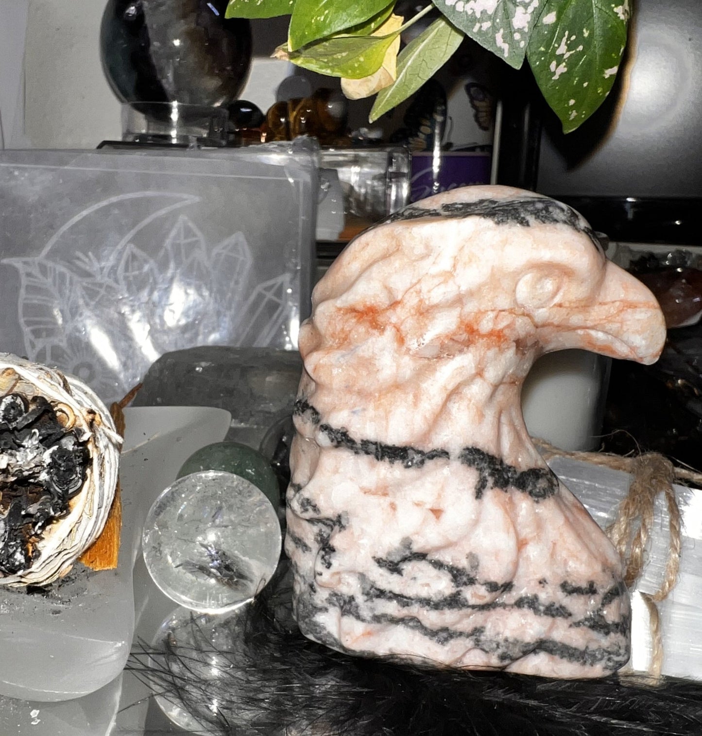 Pink Zebra Jasper Eagle Head