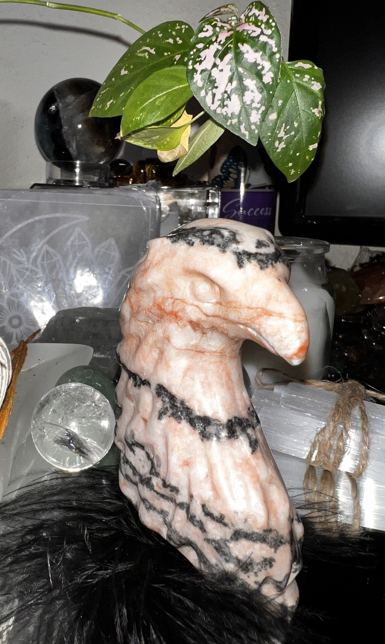 Pink Zebra Jasper Eagle Head