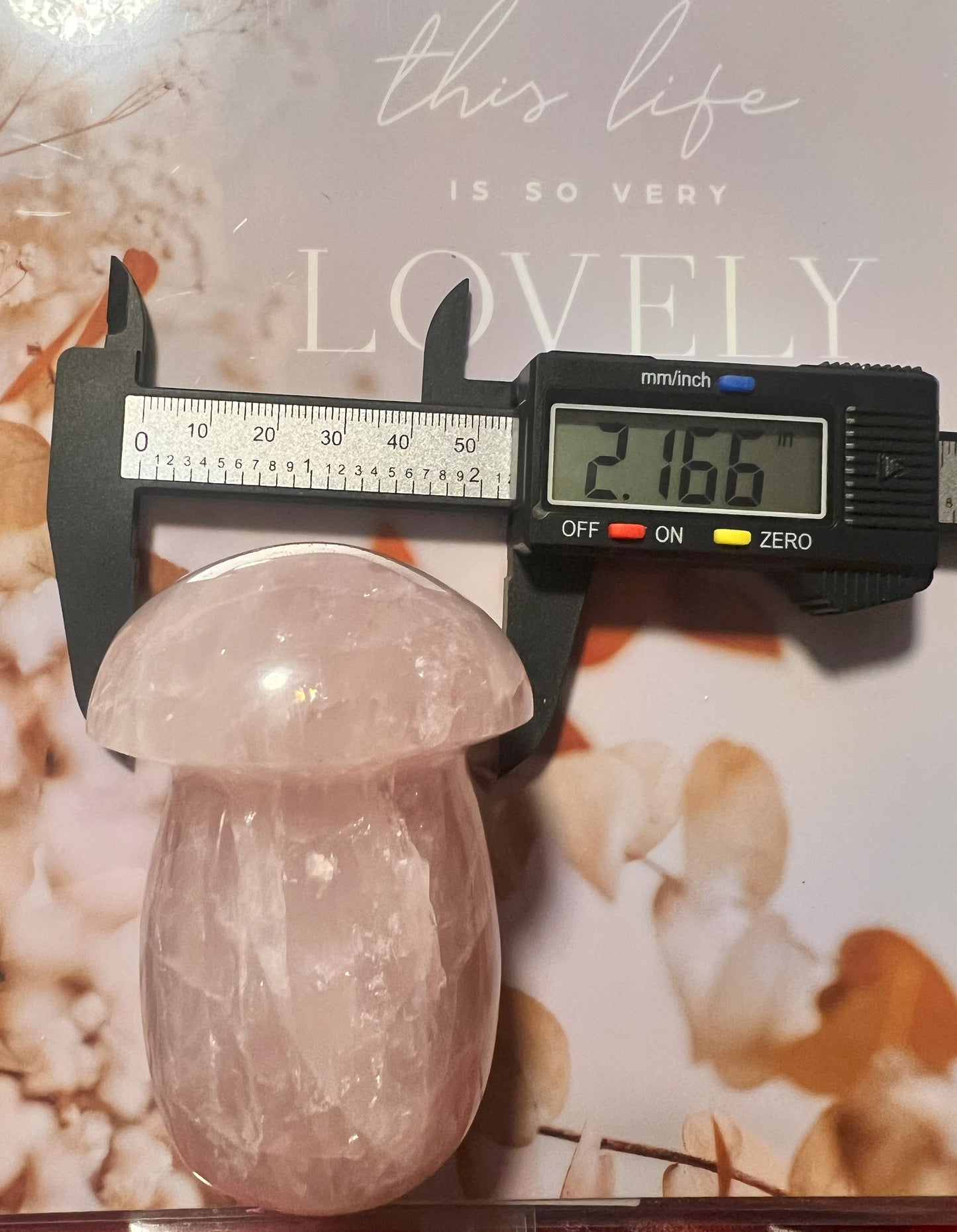 Rose Quartz Mushroom Carving: Whimsical Love