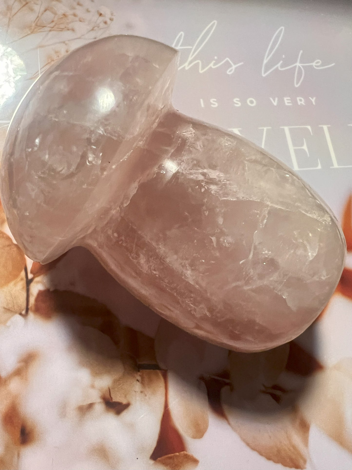 Rose Quartz Mushroom Carving: Whimsical Love