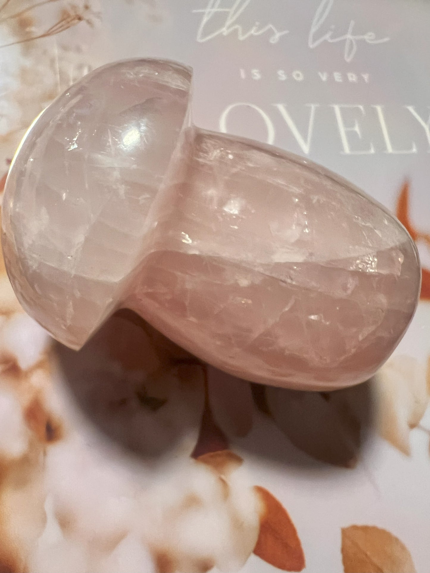 Rose Quartz Mushroom Carving: Whimsical Love