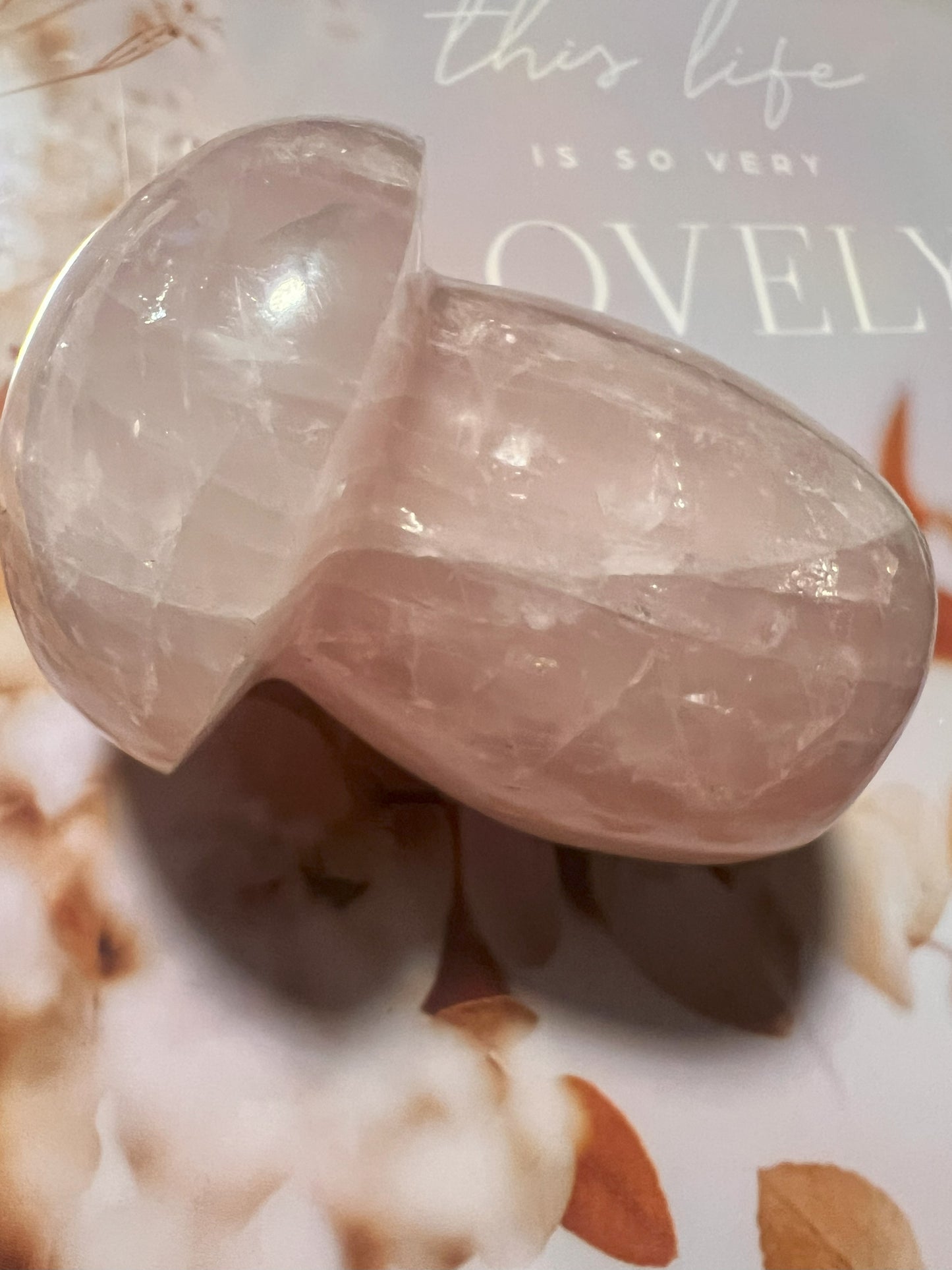 Rose Quartz Mushroom Carving: Whimsical Love