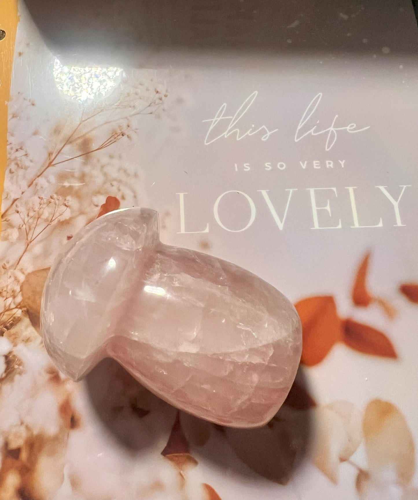 Rose Quartz Mushroom Carving: Whimsical Love