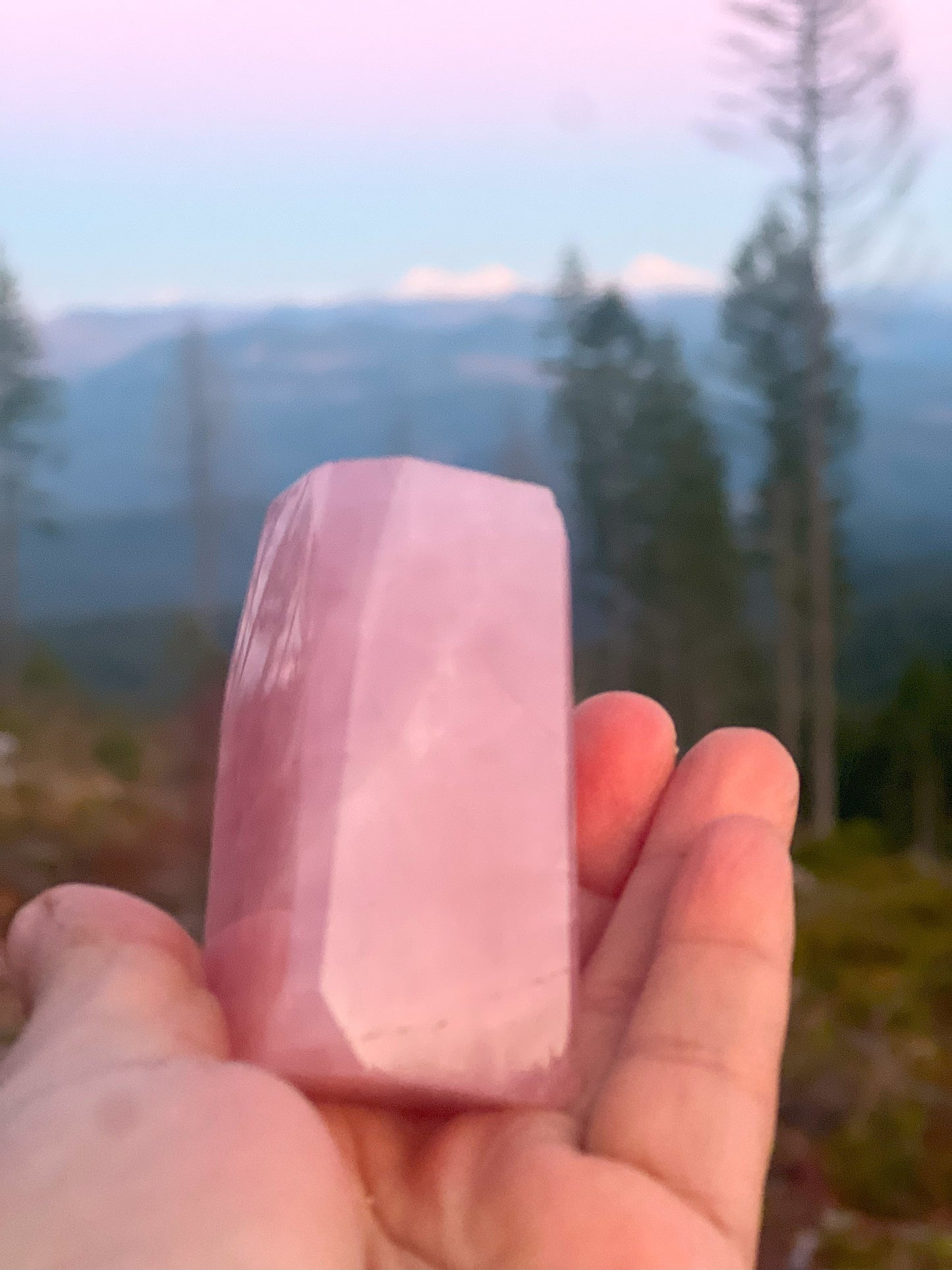 Faceted Free-Form Rose Quartz Carving