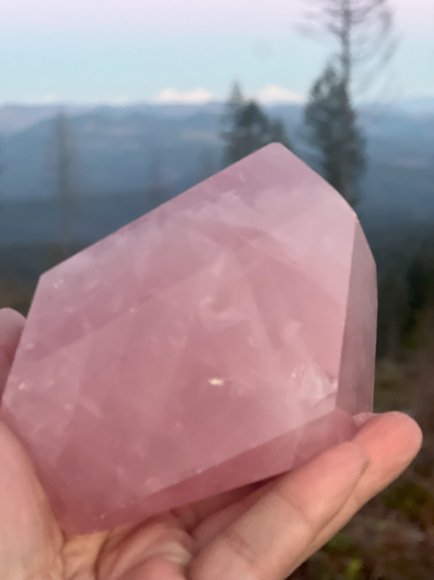 Rose Quartz Carving: Heartfelt Harmony