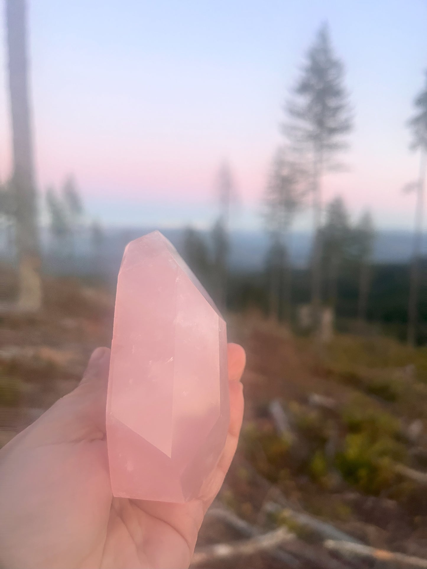 Faceted Rose Quartz Free-Form Crystal: Loving Energy