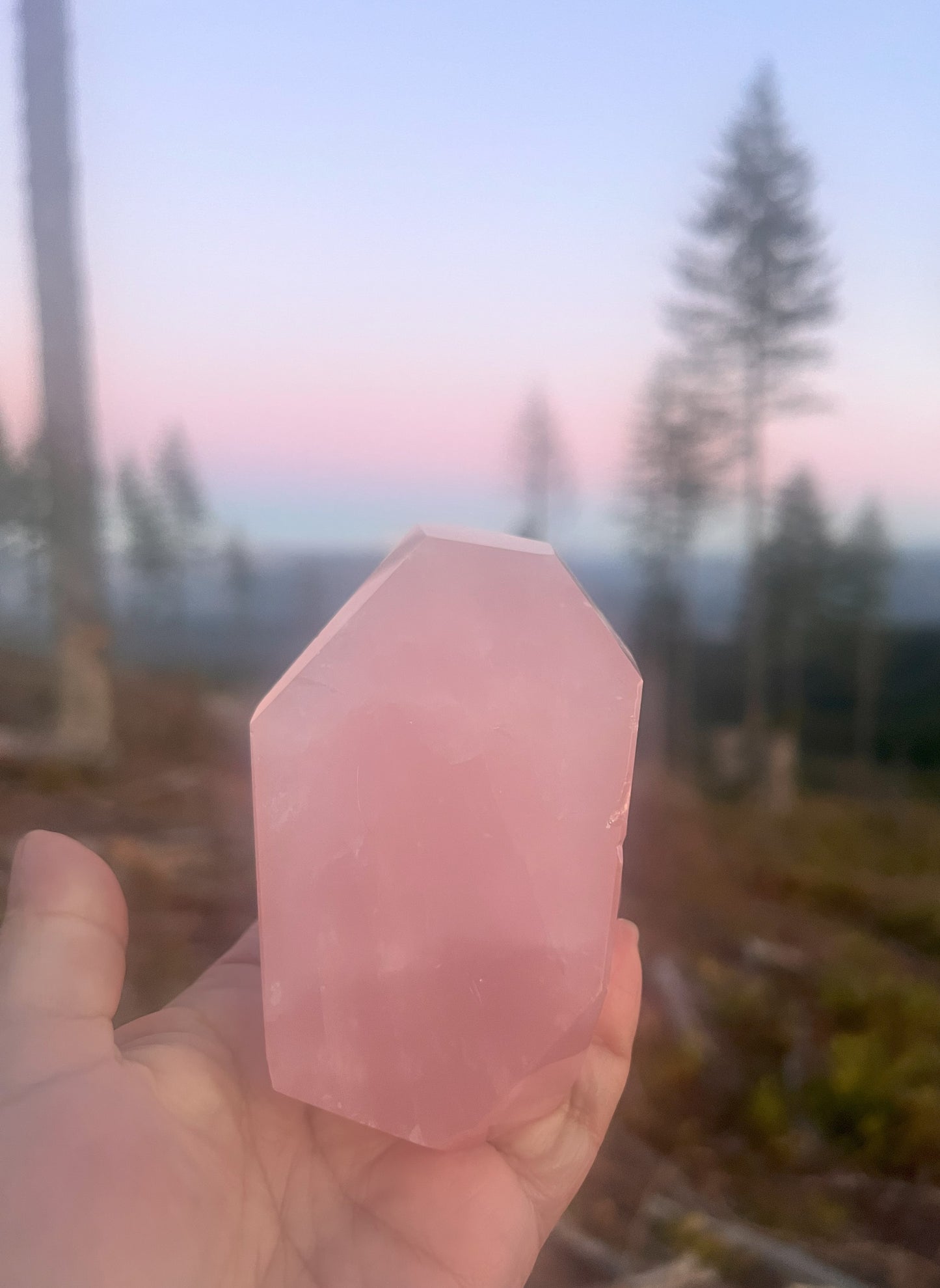 Faceted Rose Quartz Free-Form Crystal: Loving Energy