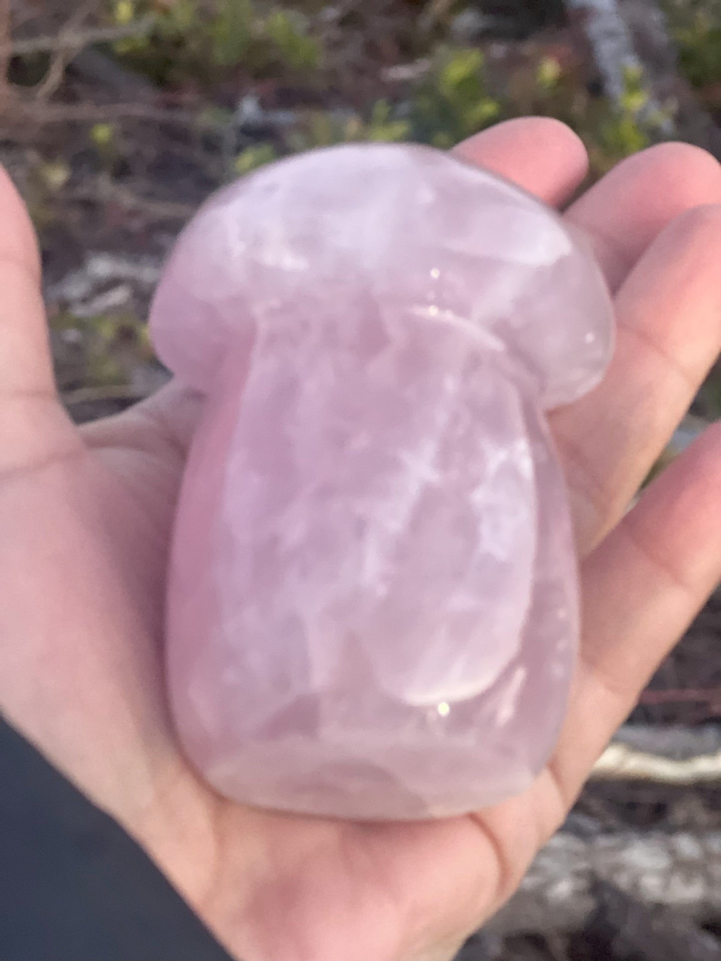 Rose Quartz Mushroom Carving: Whimsical Love
