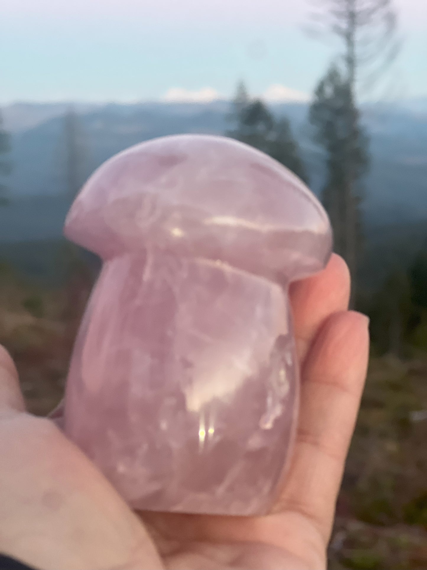 Rose Quartz Mushroom Carving: Whimsical Love