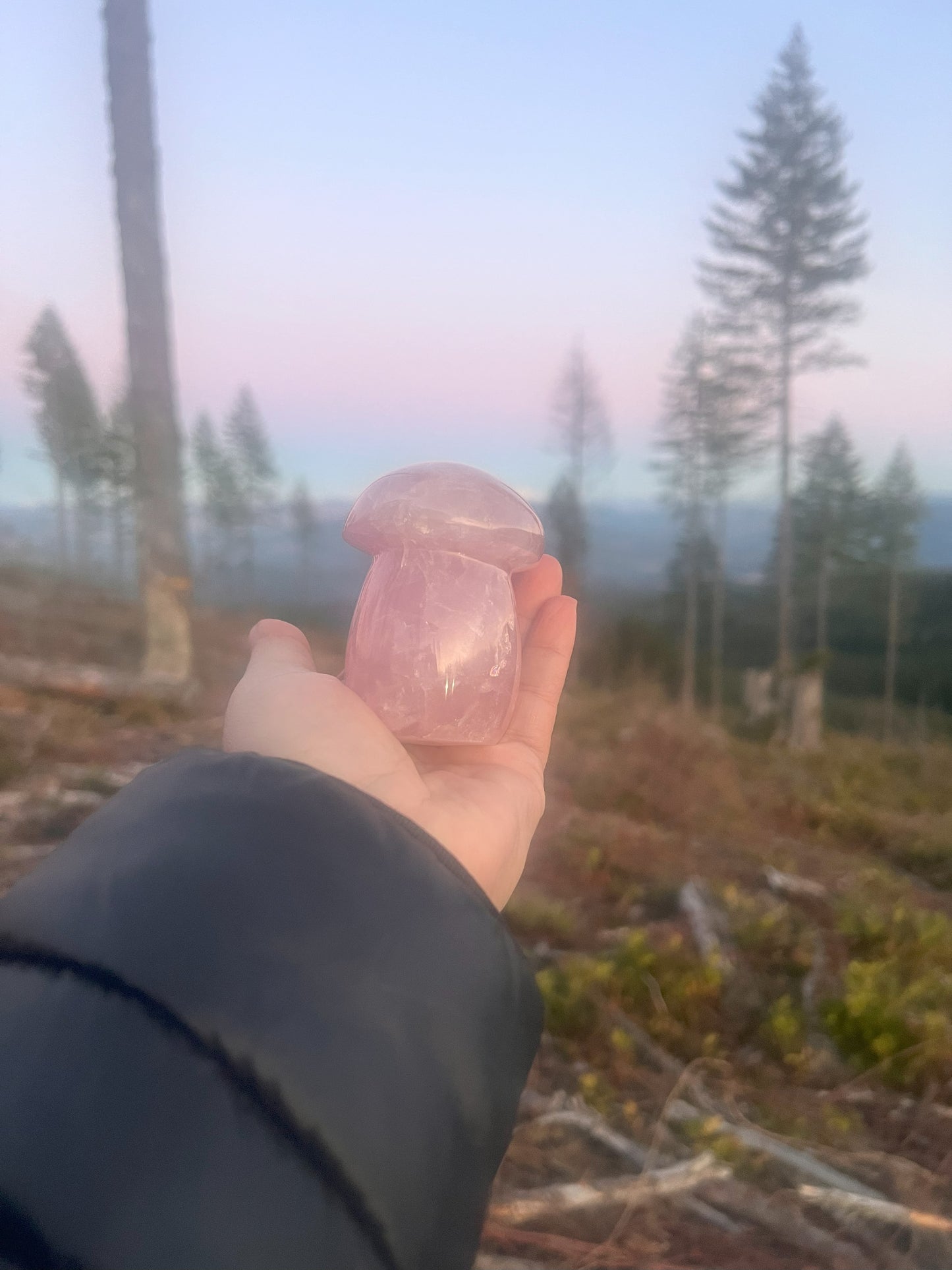 Rose Quartz Mushroom Carving: Whimsical Love