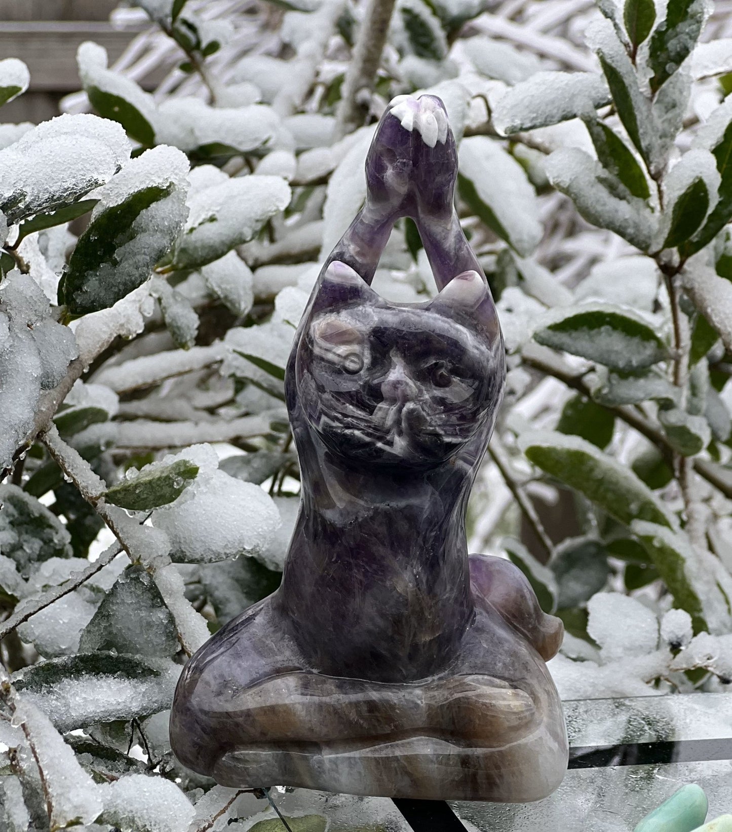 Amethyst Yoga Cat