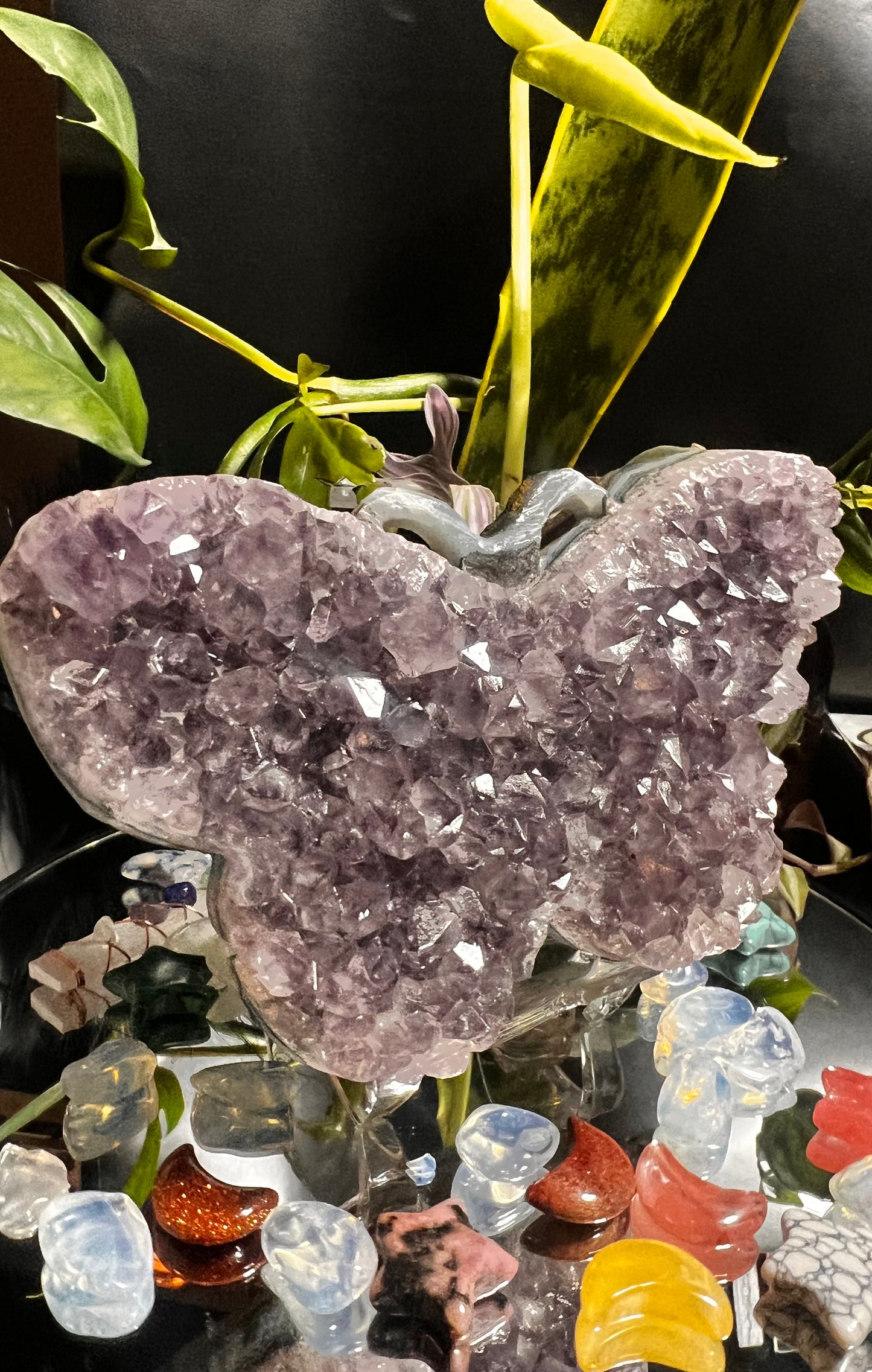 Amethyst Butterfly