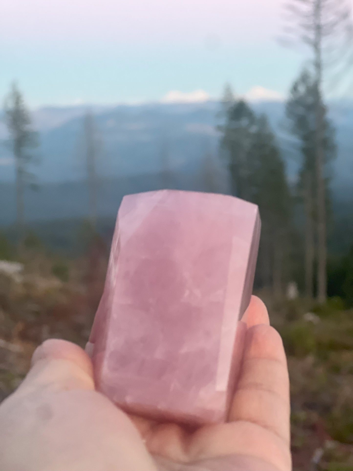 Faceted Free-Form Rose Quartz Carving