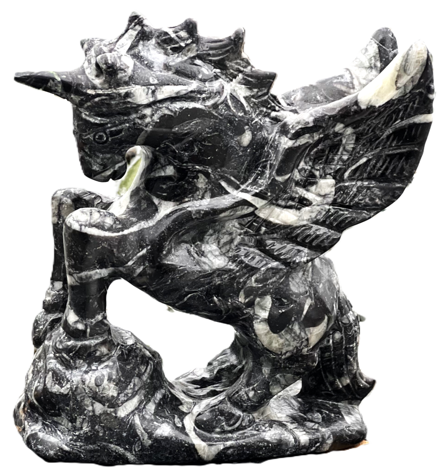 Zebra Jasper Unicorn