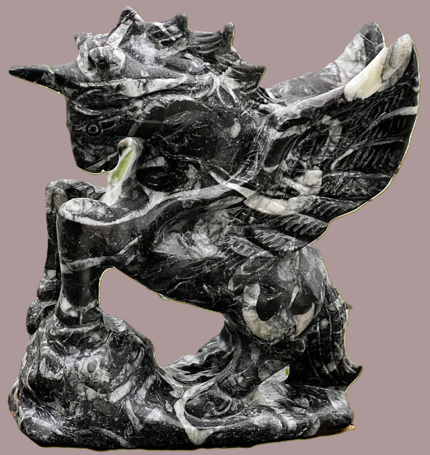 Zebra Jasper Unicorn